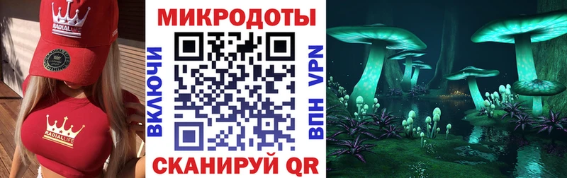 Псилоцибиновые грибы прущие грибы  Светогорск 